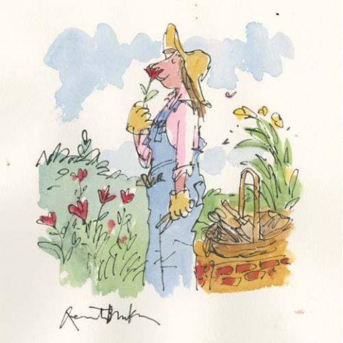 fiori